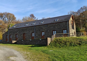 Coed Y Nant Barn